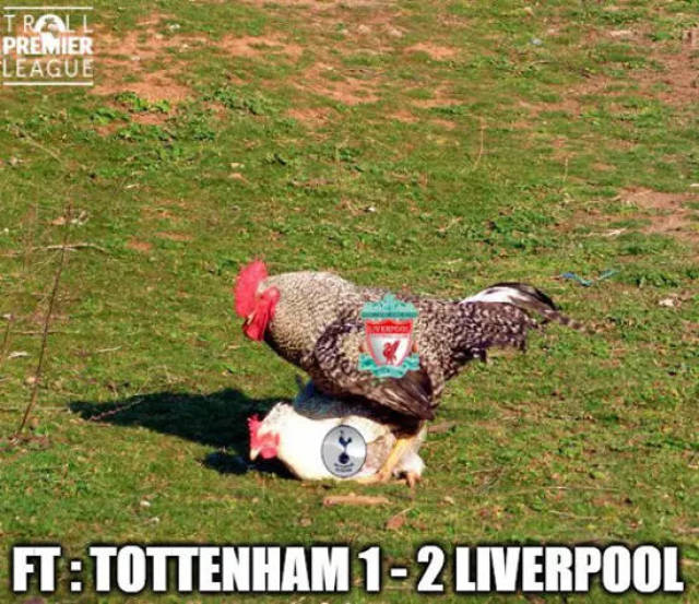 北京北汽主场大胜广东东阳光